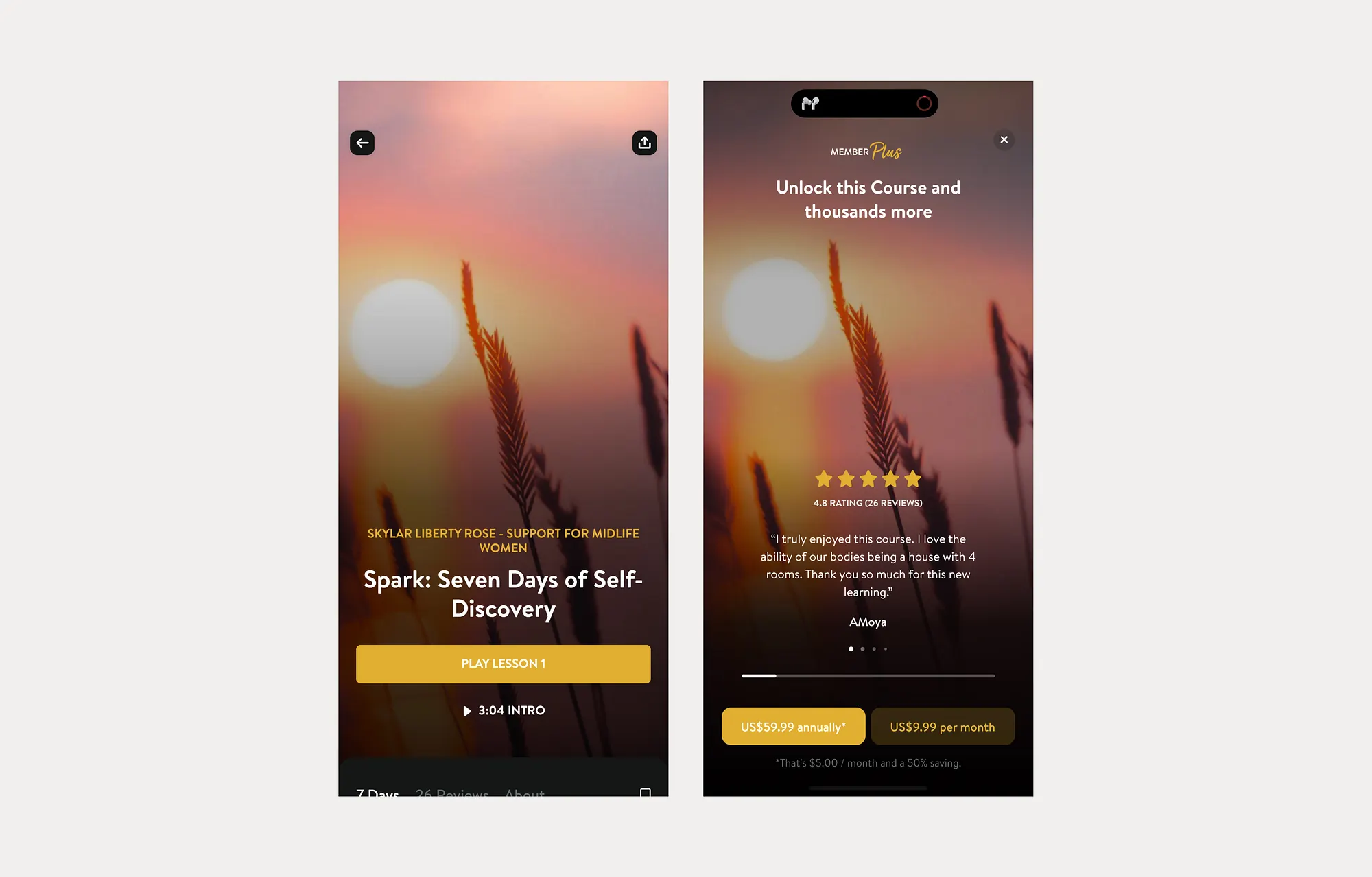 A course paywall showing an intro preview, star rating, and member reviews behind the subscription pricing