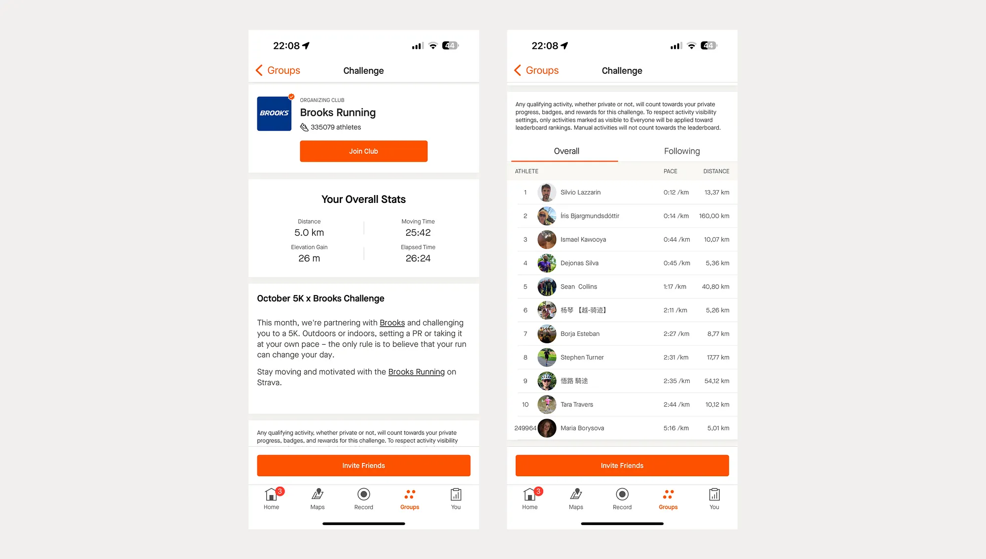Strava challenge progress, overall stats, and challenge leaderboard